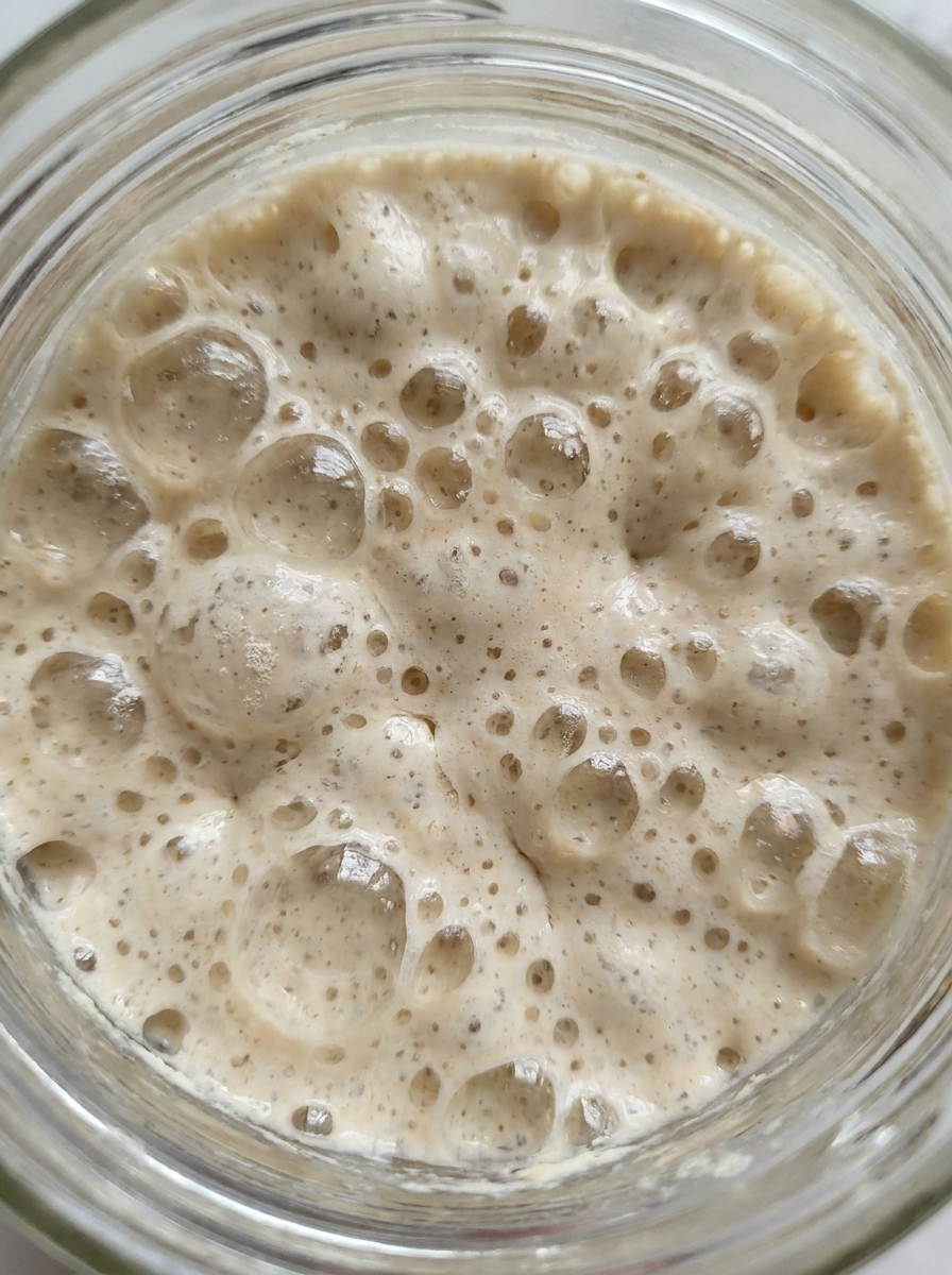 30g Live Sourdough Starter in Jar