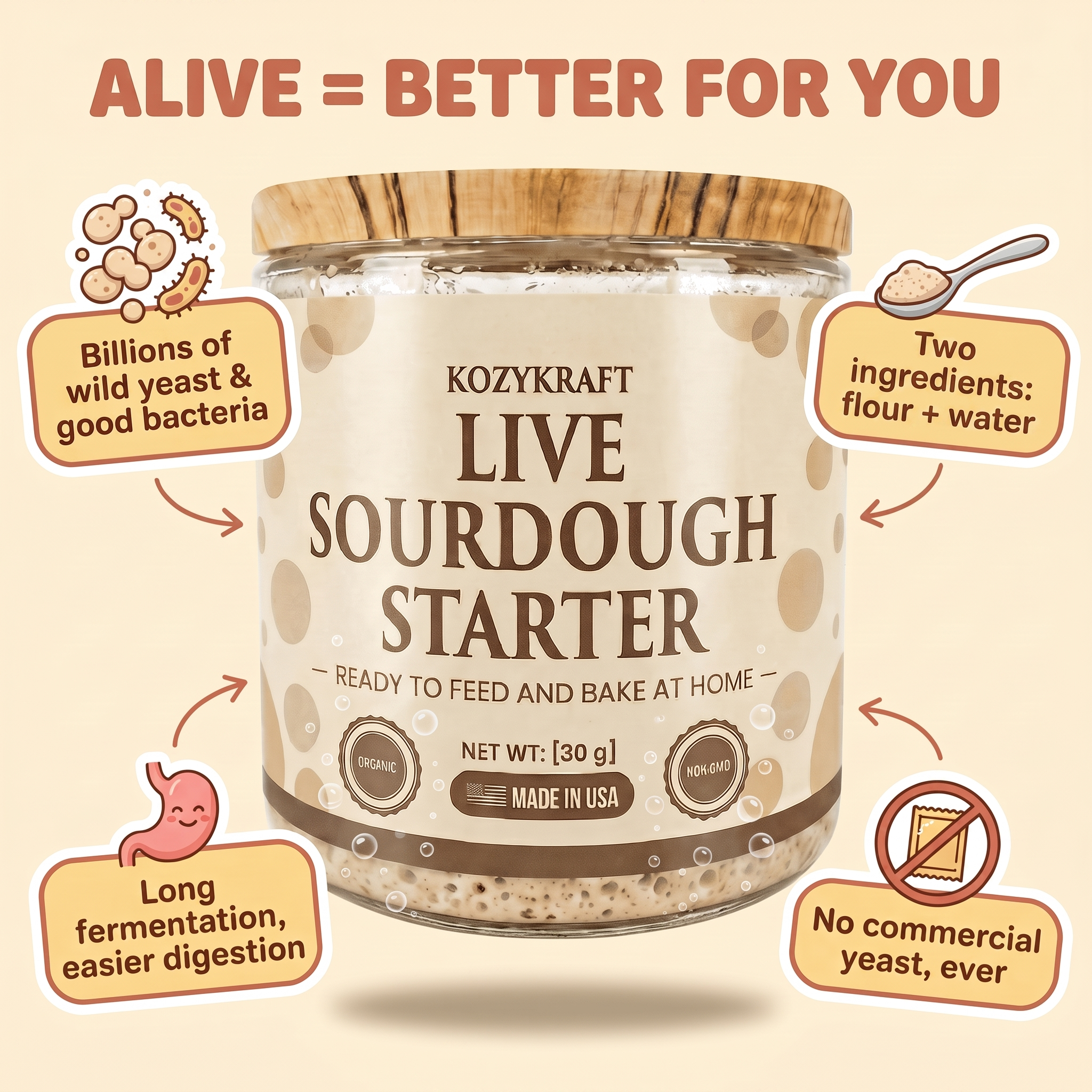 Alive = better for you — KozyKraft live sourdough starter health benefits infographic